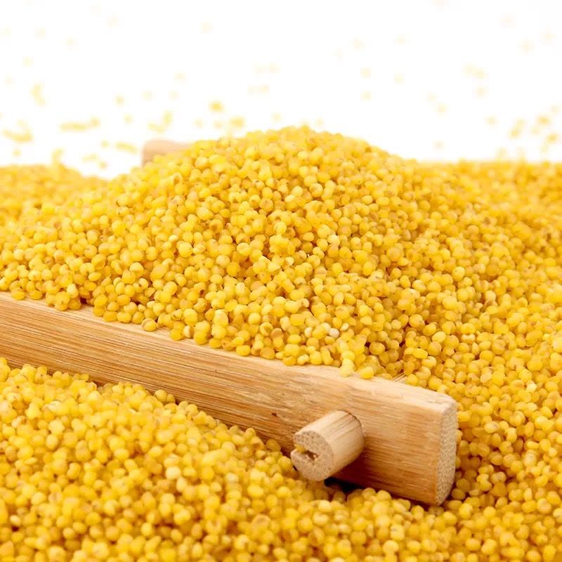 艾提尕小米5kg/袋图片