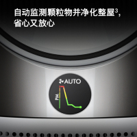 戴森(Dyson)空气净化暖风器 HP12 黑金 546372-01
