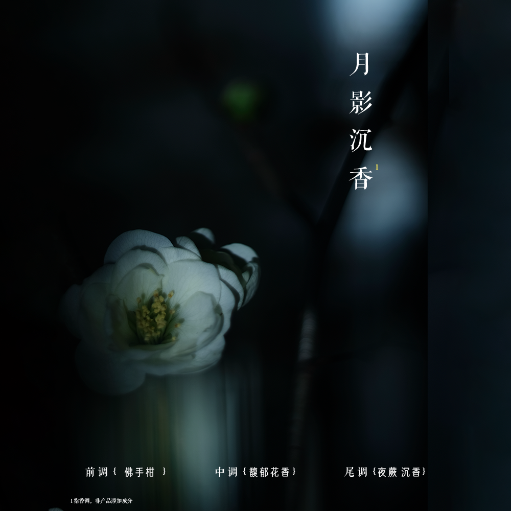 发之食谱月影花洗发水情绪香氛系列净油蓬松高颅顶轻盈洗发露洗头膏洗头水530ml高清大图