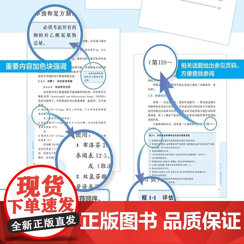 治疗指南疼痛分册 原著第6版 疼痛临床诊断治疗 疼痛评估急性慢性疼痛原因 药物治疗介入治疗医学书籍 疼痛科医生工作指导书