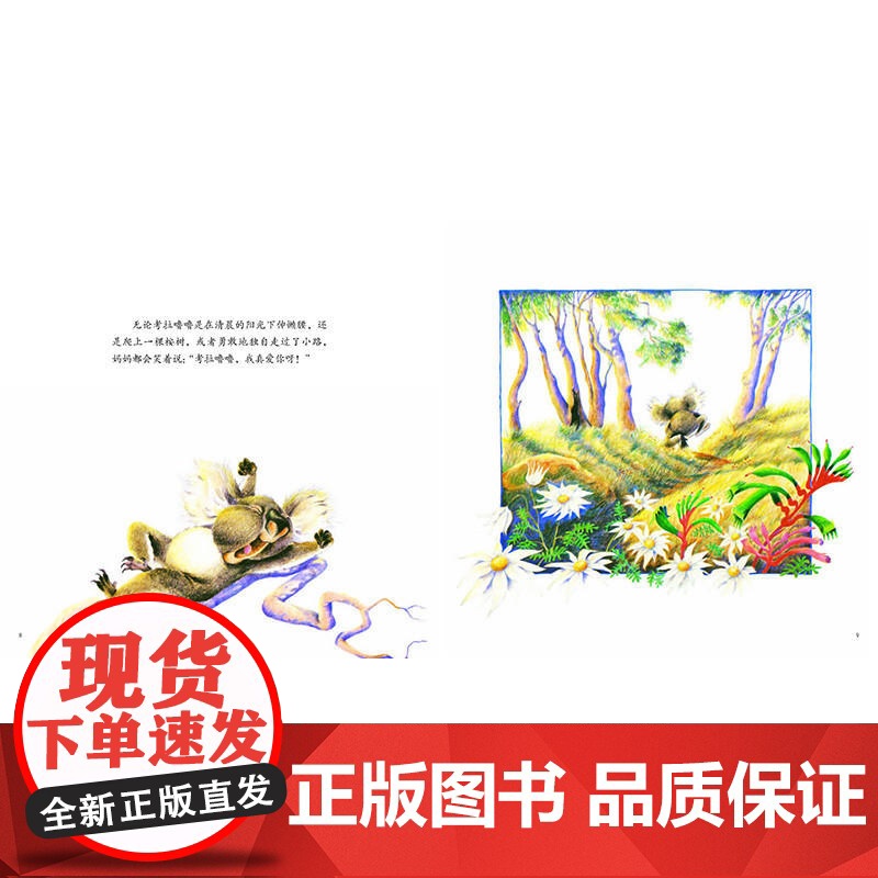 考拉噜噜高清大图