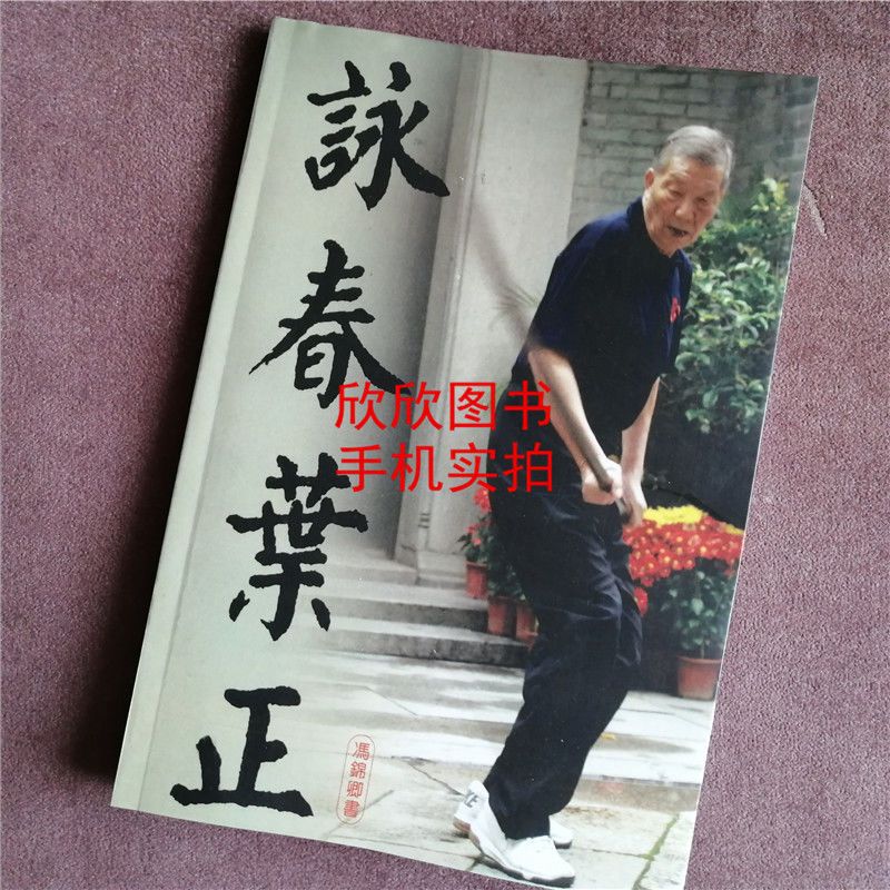 咏春叶正叶问之子叶正传咏春拳小念头寻桥标指六点半棍法八斩刀视频介绍