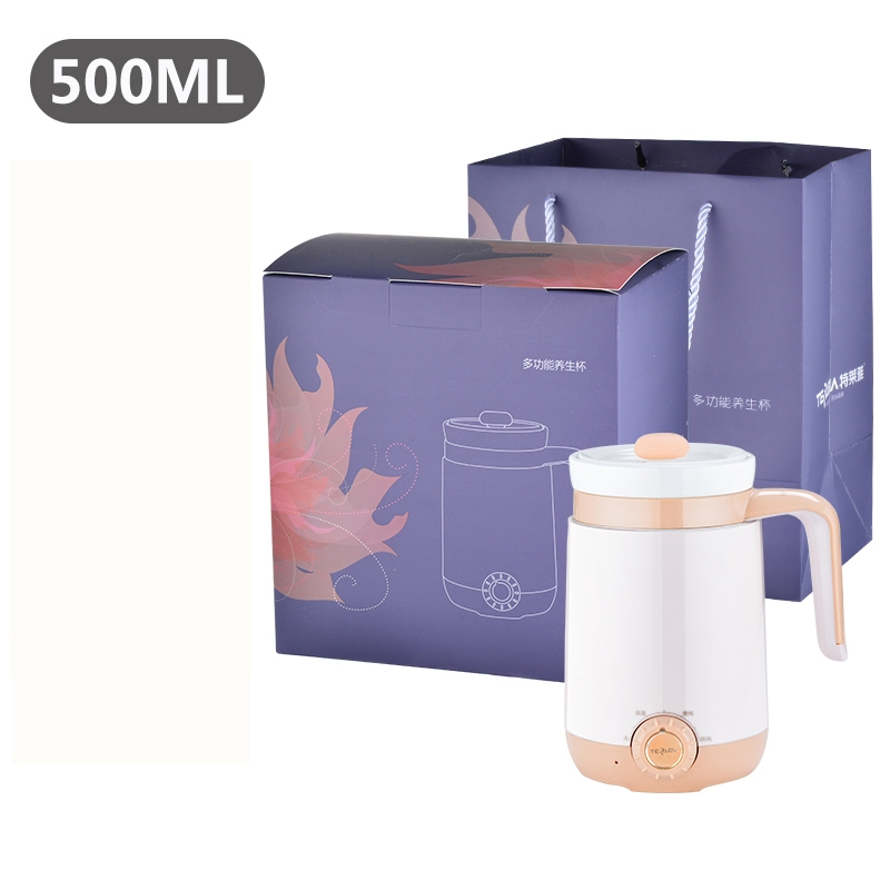 特莱雅TLY-B50养生杯烧水壶电热水壶