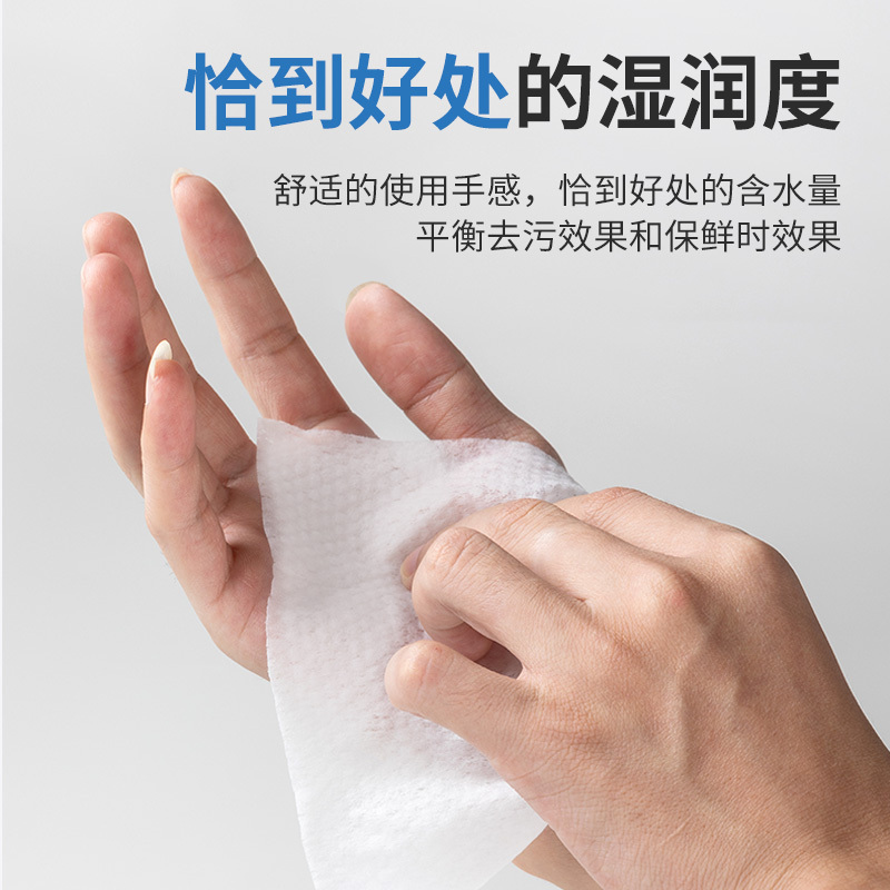 [补贴10%][400片/5包装]含75度酒精消毒湿巾办公家用卫生杀菌专用湿纸巾大包婴儿手口湿巾高清大图