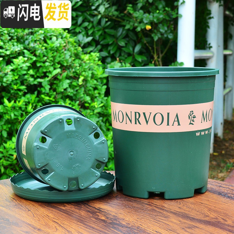 三维工匠室内矮加仑花盆阳台多肉盆家用种植塑料花盆盆栽盆器大号绿萝花盆 [5个装]22矮胖(不含托) 大花盆容器