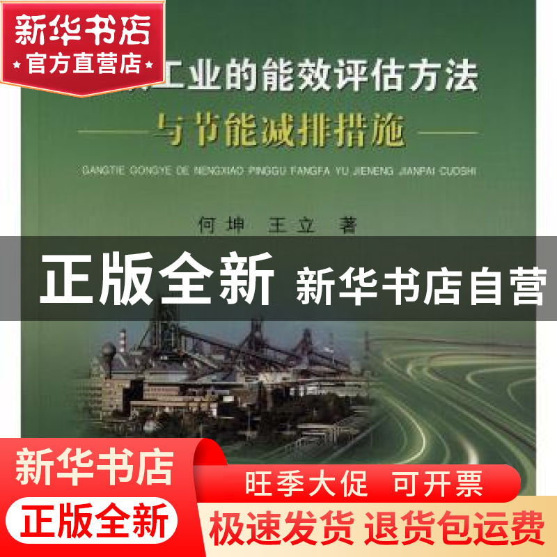 正版 钢铁工业的能效评估方法与节能减排措施 何坤 冶金工业出版高清大图