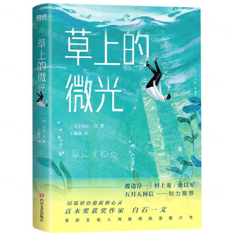 [N]草上的微光-9787541157073高清大图