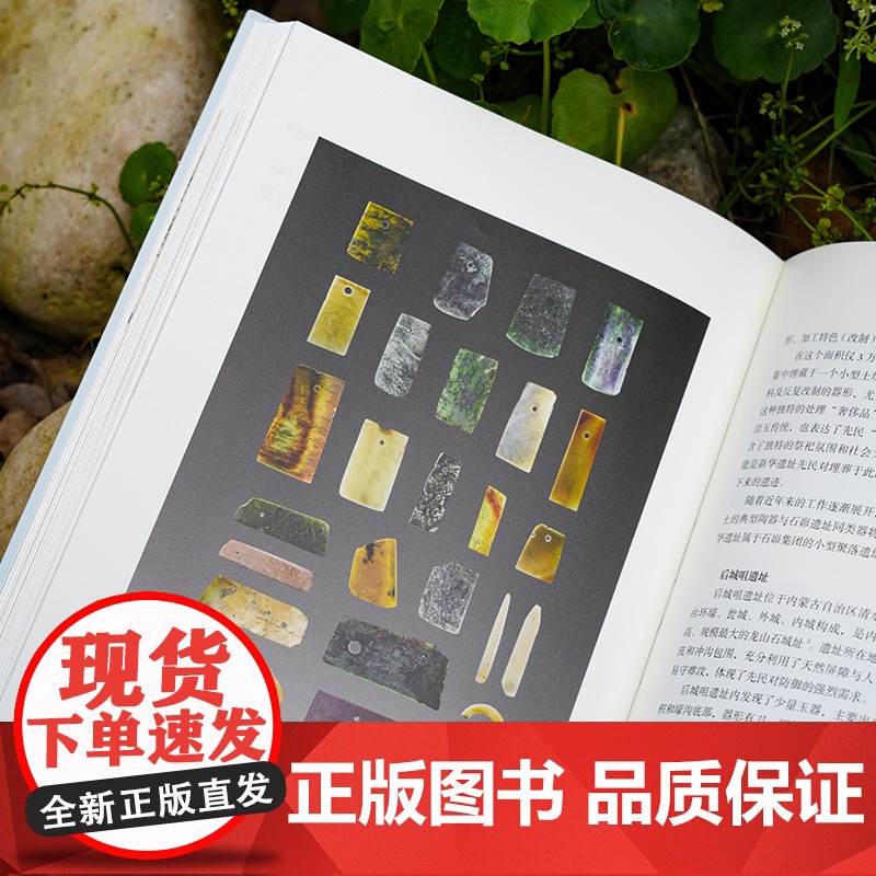 考古中国 玉成中国一万年 玉统天下五千年 叶舒宪等著 30余处玉文化遗址 450+彩图勾勒出中国万年玉文化发展与交流 中高清大图