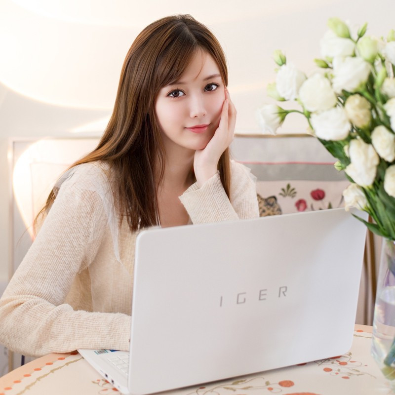雷神(ThundeRobot)IGER一格 L1 小白轻薄本 15.6英寸办公商务笔记本电脑 十一代i5-1135G7 32G 512G+2T机械 高性能锐炬显卡 定制版