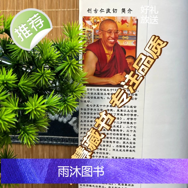 直指法身 第九世大宝法王旺秋多杰著 创古仁波切教授 简体横排高清大图