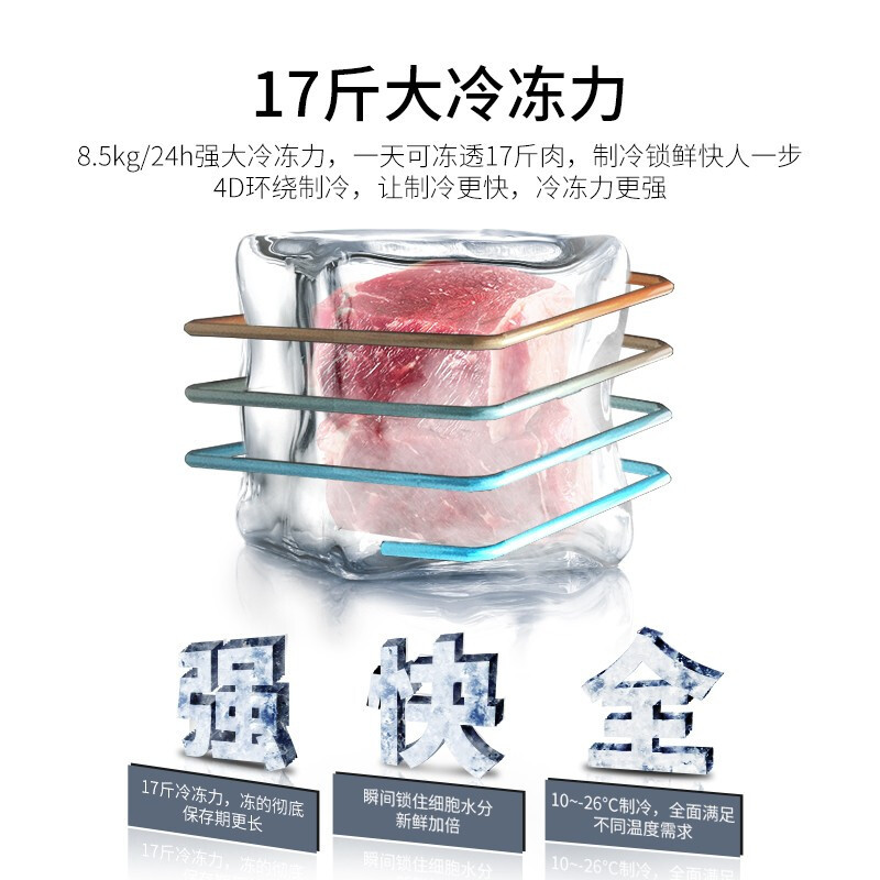 [预售]澳柯玛(AUCMA) 冰柜小型冷柜 69升迷你冰柜立式小型冷柜家用商用冷藏冷冻冰柜家用BC/BD-69H