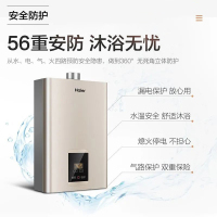 Haier/海尔燃气热水器16S2恒温防冻强排即热式 16升