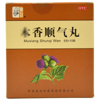 仲景 木香顺气丸 6g*10袋 行气化湿 健脾和胃 脘腹胀痛 呕吐恶心