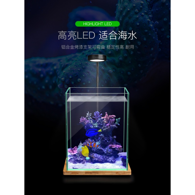 桌面海水缸全套 桌面鱼缸海水鱼缸 带蛋分带过滤 超白玻璃鱼缸高清大图
