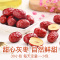 百草味 蜜饯 每日红枣900gx2箱 新疆大枣子礼盒 灰枣可夹核桃仁