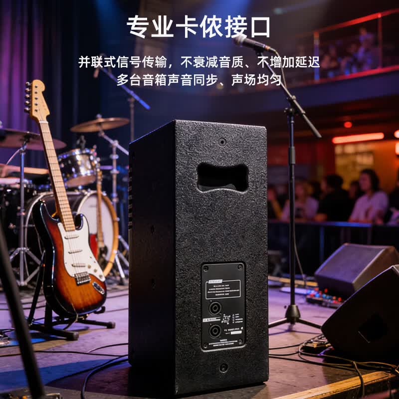 唯舒 会议音频视频 YD15 单15英寸全频多功能专业音箱无源音响会议室KTV婚庆舞台大功率音箱450W高清大图