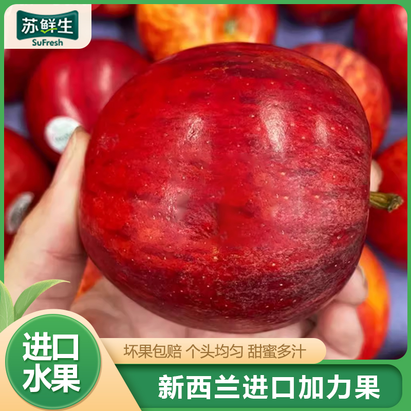 【苏鲜生】新西兰进口gala加力苹果 2粒装单果140g-160g皇后甜脆苹果苹果1