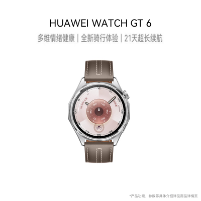 HUAWEI WATCH GT6 (ATM-B19) 46mm 灰色复合素皮表带 冰川灰