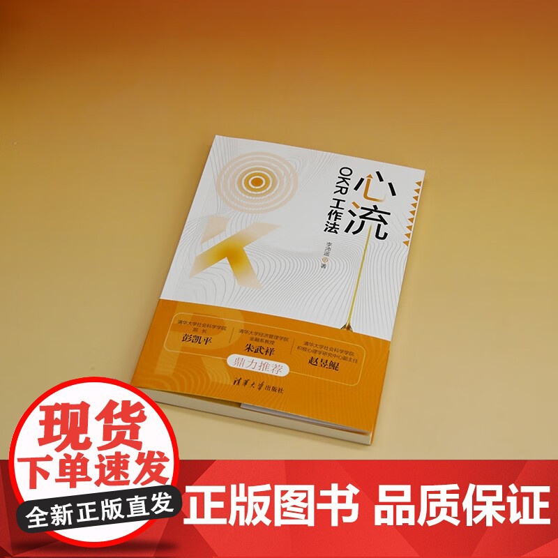 心流 OKR工作法 李沛遥 著 积极心理学 激发内驱力 把握变化提升绩效实现目标 管理高清大图