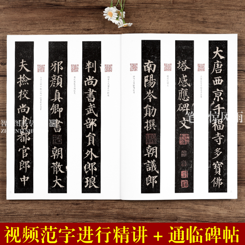 [正版]颜真卿多宝塔碑 名家教你写视频精讲版 颜体楷书碑帖简体释文通临教程书法初学者辅导班用书入门基础字帖 河南美术出