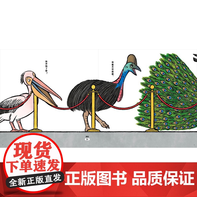 鸟儿在排什么队?精装硬壳适合3岁以上幼儿大村知子队列系列鸟类习性培养自然兴趣 提升科学认知科普趣味蒲蒲兰绘本正版高清大图