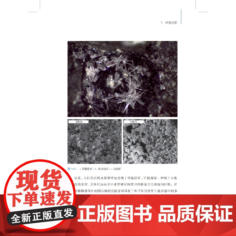 迷人的化学 迷人的科学丛书 化学史一线科学家研究故事克莱尔玛丽普拉迪耶奥利维耶帕里塞尔弗朗西斯泰桑迪耶上海科技教育出版社高清大图