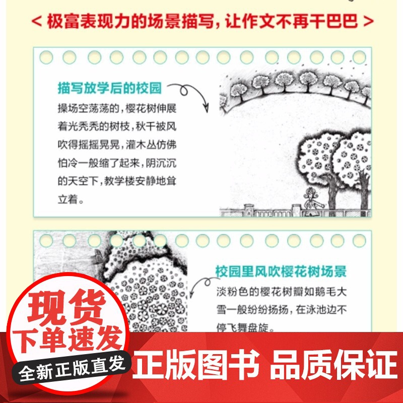 魔法老师菜子全4册每个孩子都需要的成长文学6~12岁小学生课外阅读书奇幻校园童话故事书丰富拓展孩子阅读知识解决校园烦恼高清大图