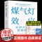 煤气灯效应 罗宾·斯特恩 赠思维导图和《如何摆脱煤气灯操控》手册 识别并摆脱情感操控 煤气灯下 心理学 果麦出品