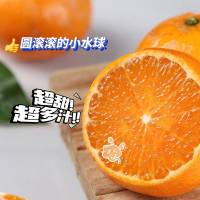 (挂树上的‘芬达’)五个农民广西武鸣茂谷柑9斤精选A级70-80mm+特大果礼盒装新鲜水果自营生鲜柑橘应季整箱