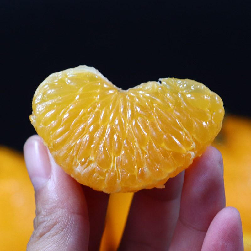 [鲜贝达]四川春见耙耙柑5斤装(75-80mm) 新鲜水果 柑橘子橙子