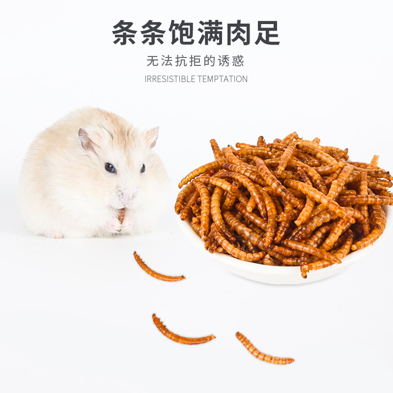 仓鼠面包虫干500ml零食刺猬粮食用品金丝熊营养饲料主粮高清大图