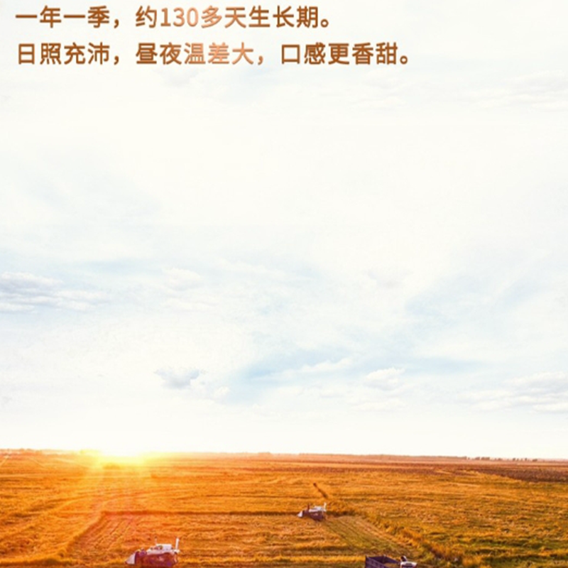 十月稻田(SHIYUEDAOTIAN) - 长粒香米2.5kg高清大图