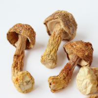 禾煜 姬松茸50g/罐 云南特产 山珍菌菇 南北干货 禾煜出品