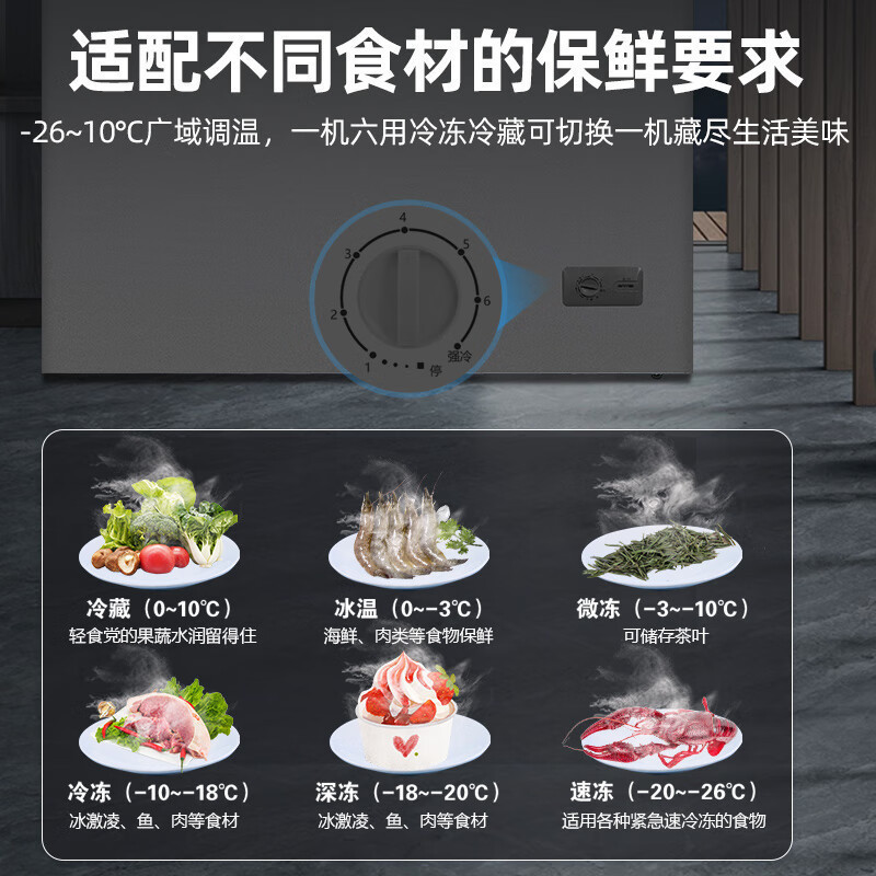 星星(XINGX)BD/BC-300E榭湖银300升商用保鲜设备卧式冰柜 单温单箱冰箱 冷藏冷冻转换冷柜顶开门