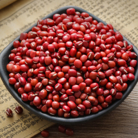 麦丰 红豆500g/罐装 五谷杂粮 赤豆红小豆粗粮 国产食品 大米粥米伴侣