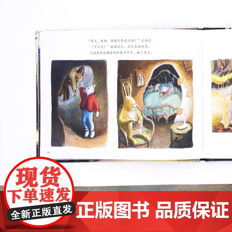 小熊尼诺精装硬壳绘本图画书适合3-6岁幼儿读物睡前故事书亲子阅读青豆书坊正版童书高清大图