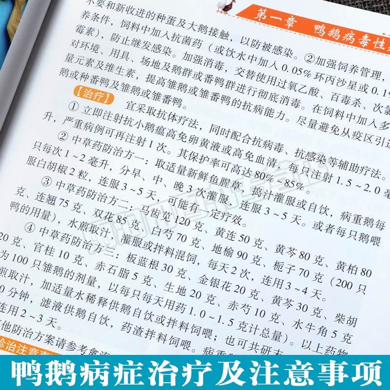 [醉染正版]鸭鹅病诊治原色图谱蛋鸭养殖技术养鸭书籍高效养鸭子疾病防治技术书籍肉鸭养殖场管理手册养鸭bi备药养鸭饲料养图片