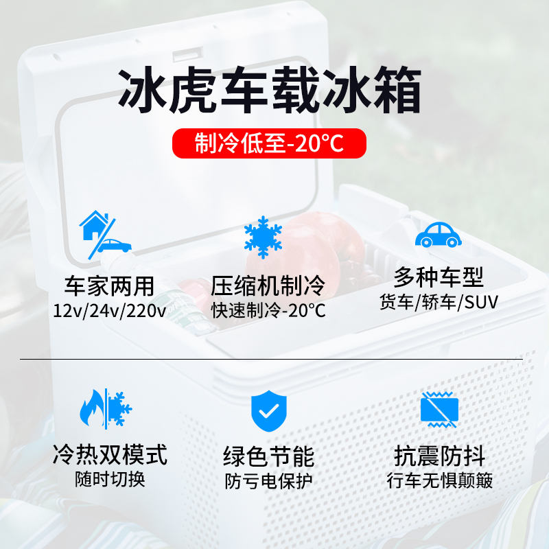 冰虎(Alpicool)车载冰箱压缩机制冷C10升车家两用可结冰12v24v220v冷热两用加热办公室户外房车迷你小冰箱