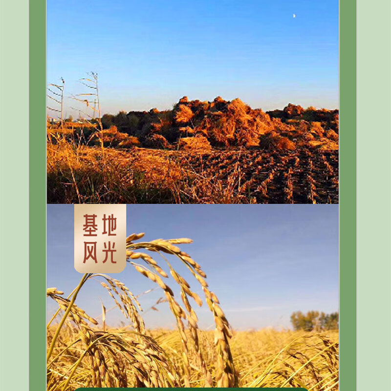 稻梁菽 五常有机稻花香大米 功稻自然成米卡(绿)30斤高清大图