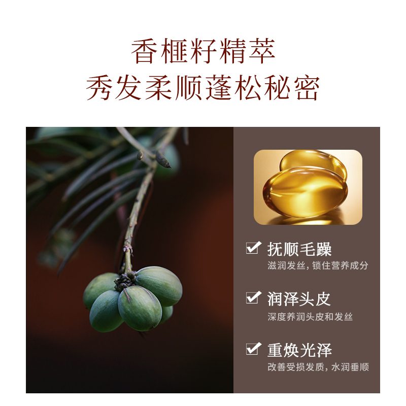 浅香 香榧氨基酸男女洗发水500g高清大图