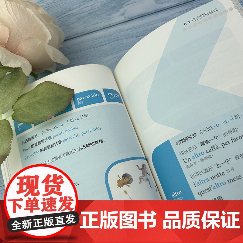 图解意大利语语法 托马迪编著外教社图解外语语法 意大利语语法自学学习书籍意大利语语法天天学上海外语教育出版社 97875高清大图