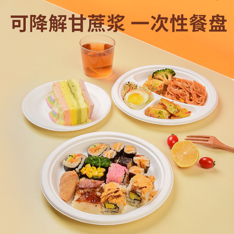 洁雅杰10寸圆盘一次性纸盘纸碗甘蔗浆可降解烧烤生日蛋糕盘加厚餐碗圆盘绘画盘子JYJYP100 单位:个高清大图