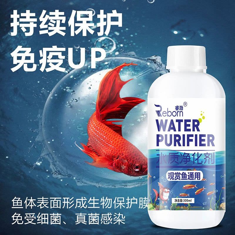 硝化细菌鱼缸用净化水质稳定剂净水剂鱼药养鱼分解鱼粪消化活菌液图片