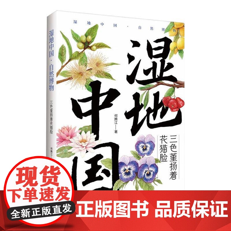 湿地中国.三色堇扬着花猫脸高清大图