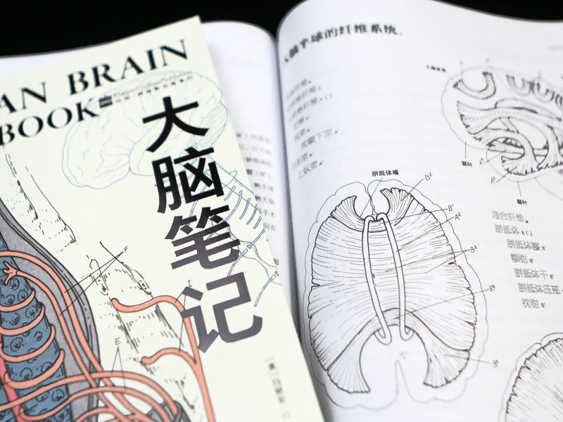 [正版]大脑笔记(神经系统涂色学习手册)科学技术文献出版社基础医学书店课外阅读书籍 书店 书籍高清大图