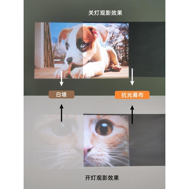 30英寸(16:9) 简易款(送魔术贴) 乐佳达 投影幕布家用 投影仪抗光幕布 投影幕 投墙画框幕布高级版投影幕布免打孔