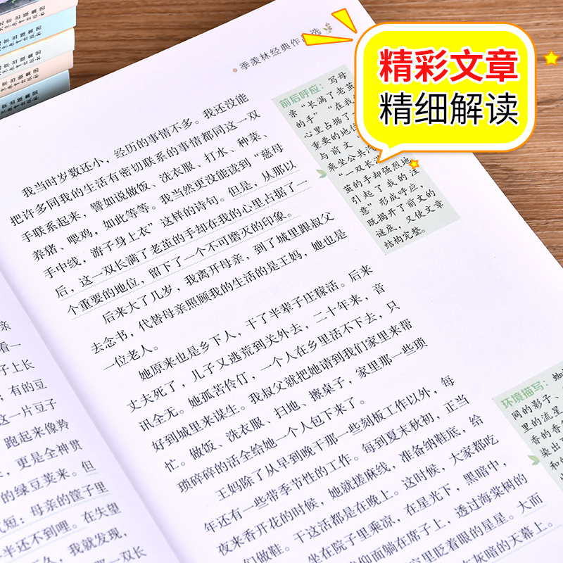 文章赏析经典作品选名师赏读彩色版鲁迅冰心老舍朱自清季>800_800