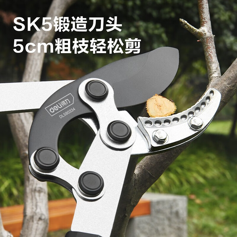 得力(deli)园艺剪刀修剪树枝家用花草剪粗枝修剪强力绿化篱剪园林大剪刀DL580334 1把
