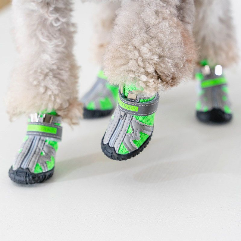 狗狗夏季鞋比熊鞋子防滑防掉小型犬宠物鞋透气款泰迪狗鞋子小狗鞋升级