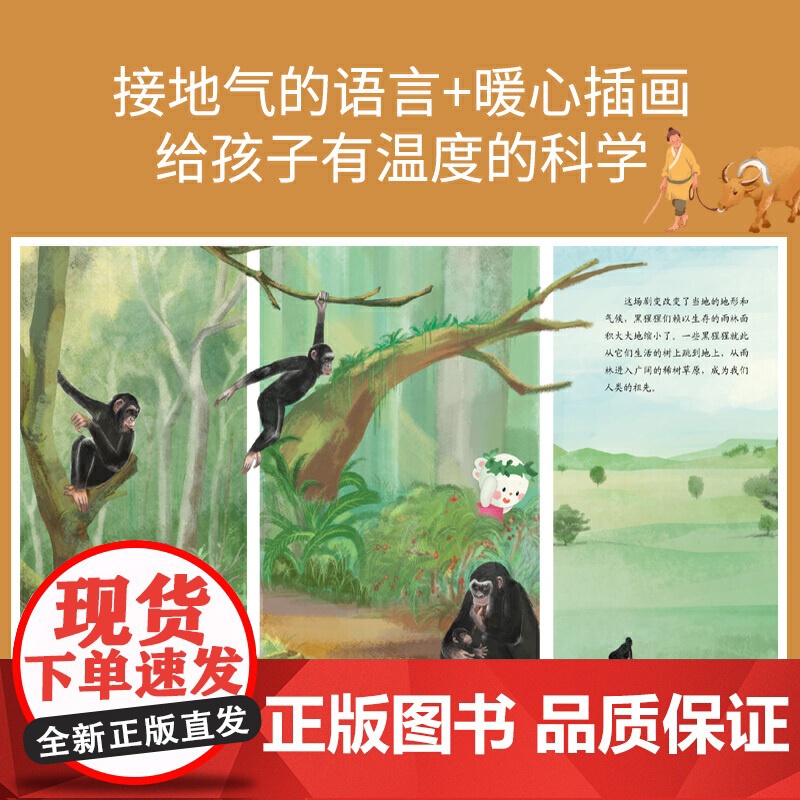 正版从黑猩猩到我们超级简单的人类史歪歪兔童书3-6-8岁百科绘本科普启蒙儿童读物幼儿园人类简史绘本精装大开本漫画故事书高清大图